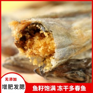 梓鑫凍干多春魚(yú)貓  500g