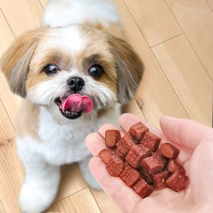 狗零食幼犬磨牙棒