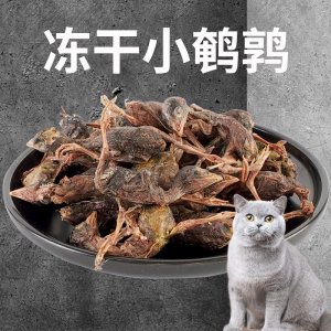 凍干貓零食凍干小鵪鶉