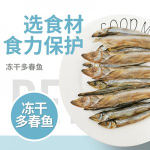 寵物零食成幼貓狗糧