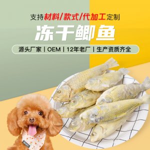 營養貓糧寵物食品