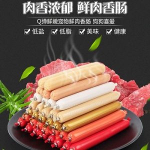 狗狗火腿腸寵物零食