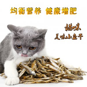 dogstory貓咪美味小魚干