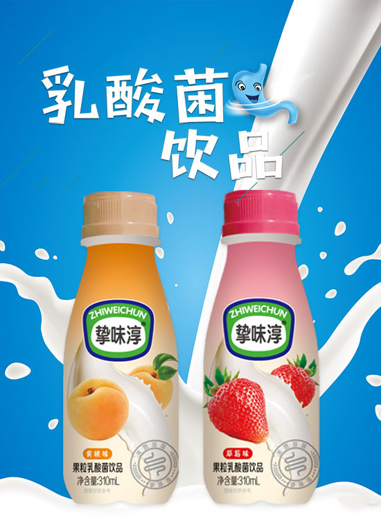 摯味淳果粒乳酸菌飲品 (2).jpg