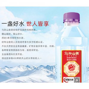 烏孫山泉飲用天然礦泉水310ml