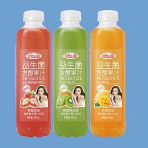 綠山園益生菌風(fēng)味發(fā)酵復(fù)合果汁飲品