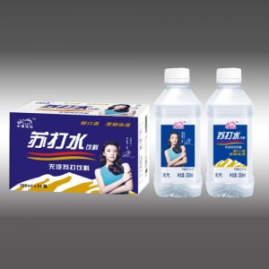 中奧飲品元氣蘇打水飲料350mlx24瓶