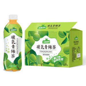 龍貓森林碳氣青梅茶480mlx15瓶