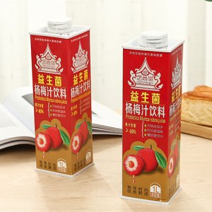 念尚你益生菌楊梅汁飲料1L