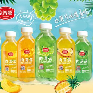 京智源果粒果汁飲料500ml