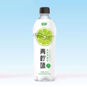 弘洋蘇打氣泡水青檸味480ml