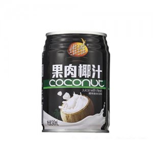 維維果肉椰汁240mL