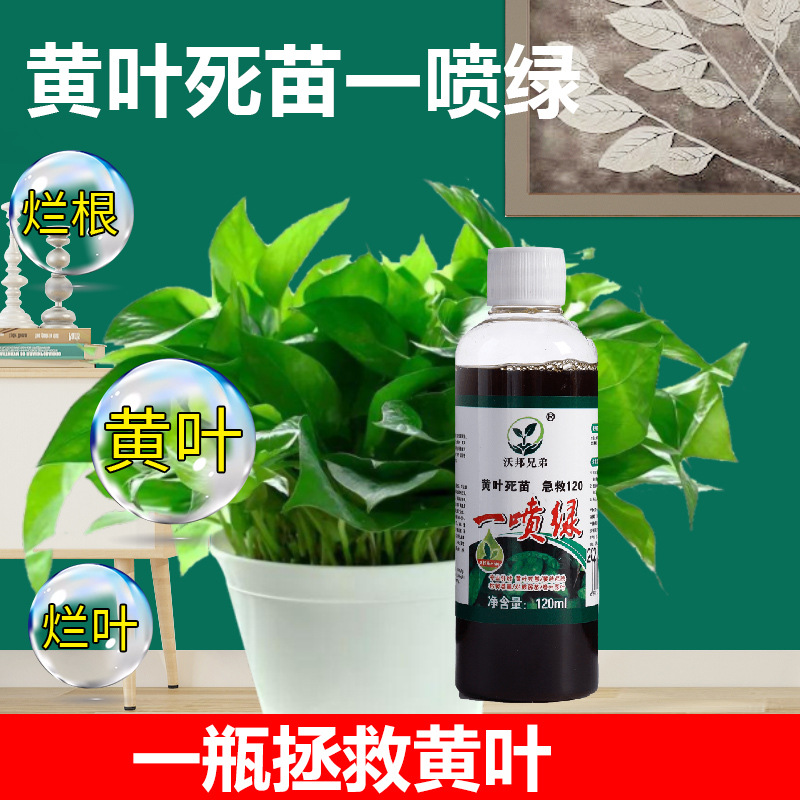 發(fā)財樹專用營養(yǎng)液金錢樹室內(nèi)植物肥料