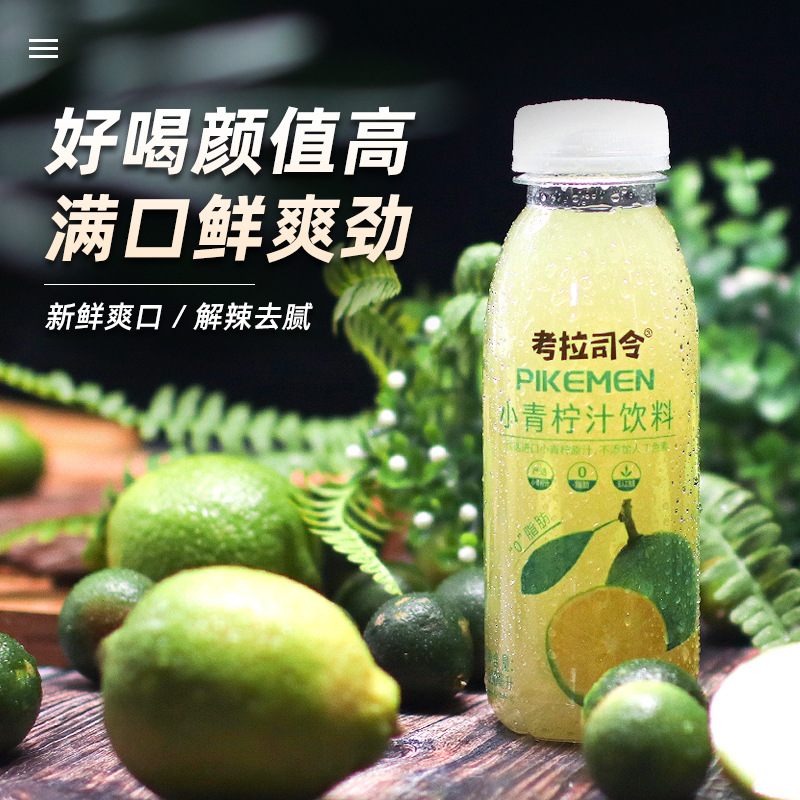 果汁小青檸果汁飲料300mlx12瓶整箱裝商超同款考拉司令OEM代加工