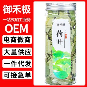 御禾極 荷葉茶罐裝20g干荷葉廠家直供O EM貼 牌一件代發(fā)批發(fā)